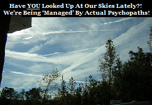 Have YOU Looked Up At Our Skies Lately?! Planet Earth Is Being ‘Managed’ By Actual Psychopaths!