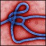 Safe/Secure Web Search: “Ebola”